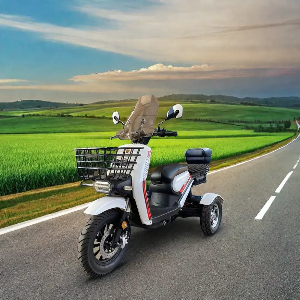 Schlussverkauf 3-Rad-Elektro-Scooter Motorisiertes Dreirad-Rikscha für Passagier und Fracht 48 V Dreirad-Invaliditäts-Motorrad