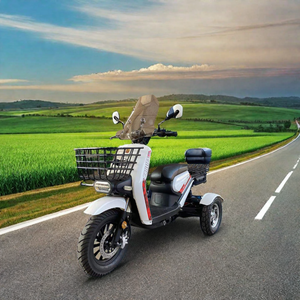 Vente chaude Scooter électrique à 3 roues Tricycle motorisé pousse-pousse pour passager et cargaison 48v <span class=keywords><strong>moto</strong></span> handicapée à trois roues - Product Image 1