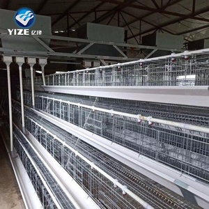 Strato gabbia di pollo batteria di esportazione in Tanzania, Kenya, Zambia, Uganda, Nigeria - Product Image 3