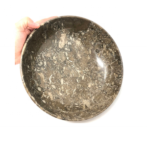 <b>Top</b> Selling 100% Genuine Beige Color Fossil Marble Plate - Product Image 5