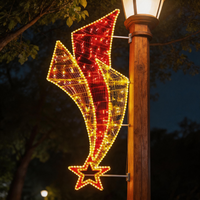 Luces LED Decorativas para Exteriores, Montadas en Poste, 2D, IP65, Impermeables, con Motivos Navideños y para Bodas, Personalizadas OEM