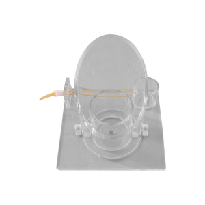 หุ่นจำลองพีวีซี ADA-LF6ฝึกทักษะปมผ่าตัด - Product Image 2