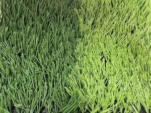 <span class=keywords><strong>Gazon</strong></span> synthétique pour <span class=keywords><strong>le</strong></span> football, <span class=keywords><strong>gazon</strong></span> artificiel pour terrain d'entraînement, multisports, hockey, rugby, durable - Product Image 3