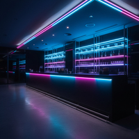 Bande lumineuse LED intelligente adressable WS2812 WS2815 RGB DC5V 12V avec Wi-Fi pour NFC IP20 PVC Contrôle par application paysagère