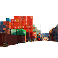 Agent maritime fret LCL + Express pour conteneurs 20GP 40GP 40HQ Chine Argentine Brésil - Marchandises dangereuses générales DDP