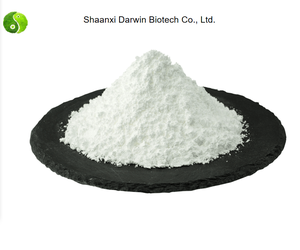 Rebaudiana de Stevia <span class=keywords><strong>Bertoni</strong></span> - Product Image 4