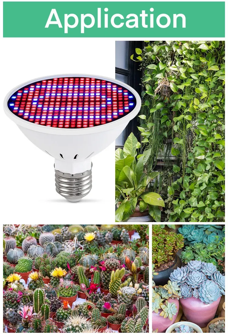 Ampoule de culture Ampoule pour plantes pour graines Ampoule de culture verte à spectre complet LED d'intérieur PC Led Tf - 8070 Pro Grow 1800 500