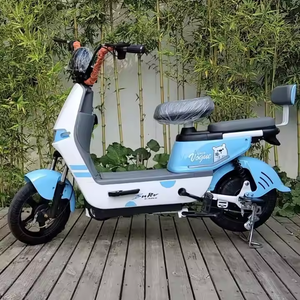 Produttori all'ingrosso di arrampicata <span class=keywords><strong>Standard</strong></span> a lunga distanza bicicletta elettrica per adulti uomini e donne bicicletta elettrica - Product Image 5