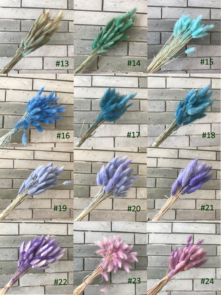 Nuancier de couleur 2