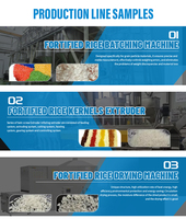 Ligne de production de riz artificiel nutritif CE pour usage commercial, capacité de production personnalisée pour les projets de programmes d'aide alimentaire