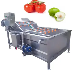 Kabarcık sprey küçük domates temizleme hattı ginseng meyve temizleme ve kurutma makinesi