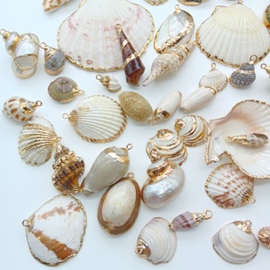 Varios nuevos encantos de playa de concha <span class=keywords><strong>Real</strong></span> Enfoque de concha moda oro Natural sumergido <span class=keywords><strong>almeja</strong></span> encantador pequeño Vieira DIY encantos - Product Image 2