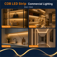 Bandes LED, Rubans LED, Bandes lumineuses LED, Bandes COB, Rétroéclairage TV intelligent 12V, Bande COB 24V 5V, Bande COB 5V 3mm, Bande COB 12V, Bande COB 24V