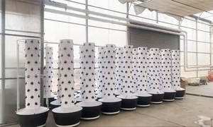 Lyine Indoor Soilless Agricultura Sistema de Torre hidropónica Agrotonomía Vertical Agricultura Torre aeropónica en el jardín - Product Image 4