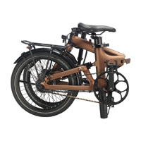 Vélo électrique pliable en fibre de carbone de 20 pouces, 350W, 36V, 14,5AH, double batterie, léger, longue portée, certifié CE