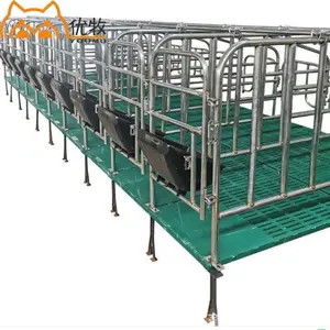 Bestiame animali gabbie prodotto allevamento suini stalle gestazione casse attrezzature per allevamento scrofe letto di gestazione scrofe