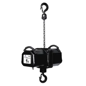 China Ondersteboven Serie Stage Kettingtakels Voor Stage Lifting Polipasto Electrico De Cadena De Escenario En Podium Hoist