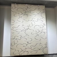 Tapis d'intérieur luxueux au design moderne, lavable, antidérapant, en peluche, pour salon, chambre à coucher, décoration de la maison
