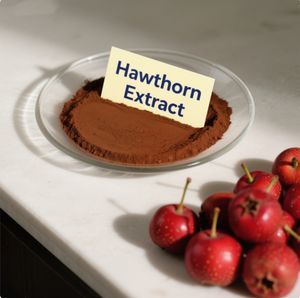 Longsheng Top Hawthorn Berry Extract Hawthorn Flavonoïden 5%-80% Hawthorn Flavonoïden 2%-8% Vitexin 2%-10% - Product Image 1