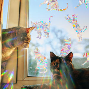 Sun Catcher Sticker Prismático PVC Ventana Calcomanías Electrostáticas Arco Iris Pegatinas - Product Image 1