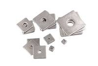 Hot Dipped Galvanized Square Washer Made in China Flat Washer
