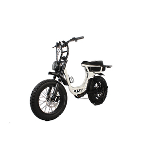 Clear out 48V TO-LANDS 250W/500W/750W/1000W Fat Tire Bicicleta Electrica Mountain City Dirt <span class=keywords><strong>Cruiser</strong></span> Carga Electrica <span class=keywords><strong>EBike</strong></span> - Product Image 3