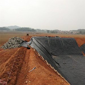Géomembrane HDPE haute densité pour bassin d'aquaculture, revêtement de barrage 0,75 mm, 1 mm, 1,5 mm, 2 mm - Product Image 2