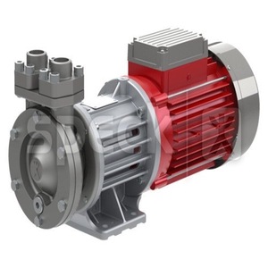 Bomba de pistón eléctrica recíproca Speck NP25 41 170 con conexión de brida de 1 pulgada, succión de 6 m, 0,1-10 bar - Product Image 3