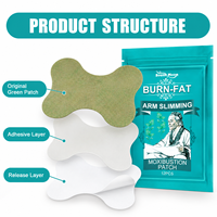 Patchs de Soin Corporel pour les Bras aux Herbes Naturelles Détoxifiantes, Perte de Poids, Hypoallergéniques, Certifiés CE, 12 Pièces/Sac, 37g, Emballage Personnalisé en Gros