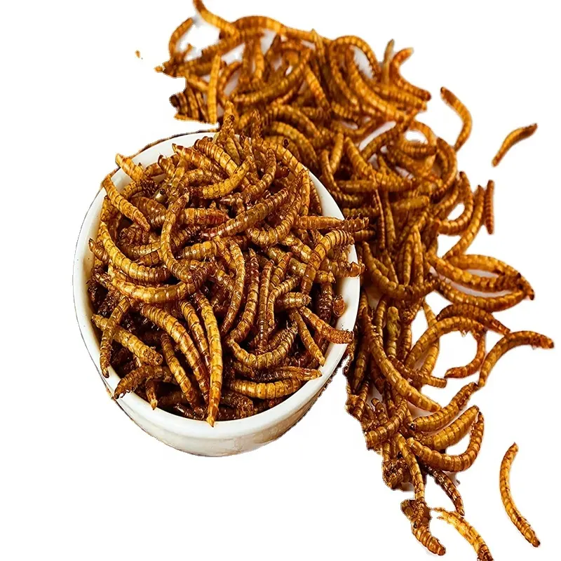 Çiftlik cins kurutulmuş besleyici kriket Protein Mealworm Mealworms kuşlar için yılanlar