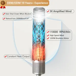 OEM/ODM 고속 110000 RPM BLDC 좋은 타격 건조기 가정용 헤어 블로어 브러시 헤어 드라이어 제조업체 OEM ODM ODM OBM