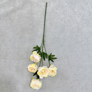 Peonía a granel Natural de tallo largo a <span class=keywords><strong>precio</strong></span> de Qyy-34Competitive para boda, San Valentín, graduación, arreglo floral, decoración - Product Image 2