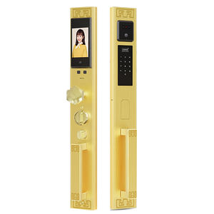 Porte de <span class=keywords><strong>villa</strong></span> de luxe dorée serrure de porte antivol double porte reconnaissance faciale téléphone portable surveillance à distance serrures de porte intelligentes - Product Image 6