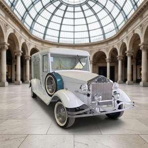 Limousine funéraire argentée très demandée sur le marché européen – Voiture funéraire classique à vendre - Product Image 1