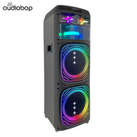 Système audio de karaoké avec haut-parleur extra bass, microphone, éclairage RGB, batterie rechargeable, capacité de production en série, puissance de sortie 100-300W