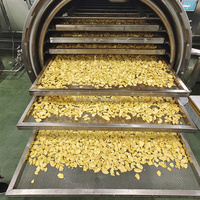 Automatische groentepuffmachine, appelchips- en fruit-vacuümdrukverschil-puffmachine