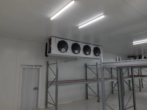 Small Cold Room, Galvanized Anti Rust Frame, Less Heat Loss, Mini Walin Freezer for Beef Chicken in Catering Kitchens - Product Image 1
