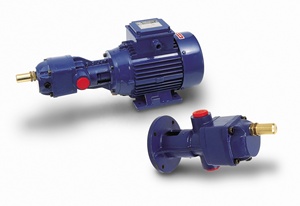 Made in italy pompa ad ingranaggi volumetrica ad albero nudo tipo flangiato APF trasferimento di liquidi lubrificanti ghisa 9,1 cm3/rev - Product Image 2
