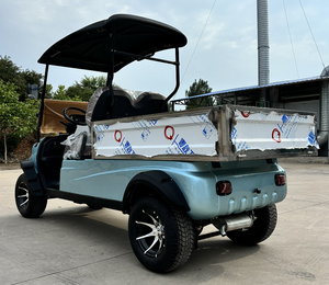 WELIFTRICH chariot utilitaire à piles <span class=keywords><strong>2</strong></span> <span class=keywords><strong>places</strong></span> bon marché chariot de golf électrique à benne basculante à vendre - Product Image 5