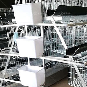 Équipement d'élevage Galvanisé à chaud A Type 4 Tier <span class=keywords><strong>Cages</strong></span> pour poulets <span class=keywords><strong>Cages</strong></span> pour poules pondeuses pour 5000 oiseaux - Product Image 6