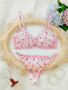 Ensemble de lingerie sexy Brian sur mesure, style européen et américain, léger, respirant, en maille brodée en forme de cœur - Product Image 2