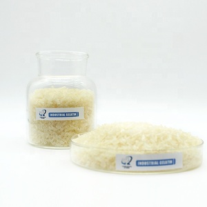 Poudre de gélatine comestible pour la production d'<span class=keywords><strong>aspic</strong></span> et de saucisses - Product Image 6