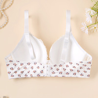 Soutien-gorge push-up à armatures en dentelle florale, style européen/américain, grande taille, pour poitrines généreuses, bretelles réglables, fermeture à trois rangées de boucles
