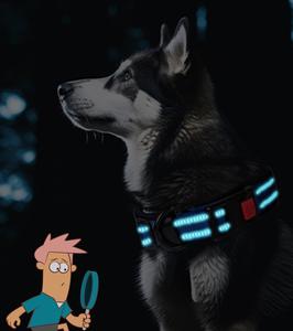 Collar para Perro Duradero, Ecológico, de Poliéster Sólido Reflectante, Cómodo y Suave con Forro de Neopreno - Product Image 4