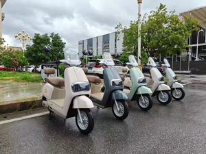 Scooter Eléctrico de 48V para Adolescentes, el Mejor del Mercado, Fabricante Chino, 1000W 1500W GW-M85 1000W - Product Image 3