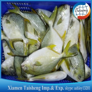 Fruits De Mer congelés Entiers Pompano Doré Poisson - Product Image 5