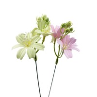 Bouquet de fleurs de savon de begonie faites à la main, style naturel réaliste, 50 pièces, accessoires de bricolage, matériaux pour fleurs artificielles, directement de l'usine