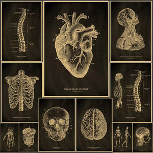 Póster <span class=keywords><strong>de</strong></span> Pared con Diseño <span class=keywords><strong>de</strong></span> <span class=keywords><strong>Esqueleto</strong></span> Anatómico Impreso Personalizado en Papel Kraft para Decoración Médica del Hogar, Producto <span class=keywords><strong>de</strong></span> Impresión en Papel y <span class=keywords><strong>Cartón</strong></span> - Product Image 2