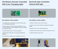 Module de contrôle de circuit imprimé PCBA pour éclairage LED intelligent avec contrôle par application Bluetooth et infrarouge RGB