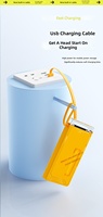 Batterie externe Lighthouse avec câble intégré 20 000 mAh, chargeur portable haute capacité, lampe torche LED, sangle auto-agrippante [Plastique]